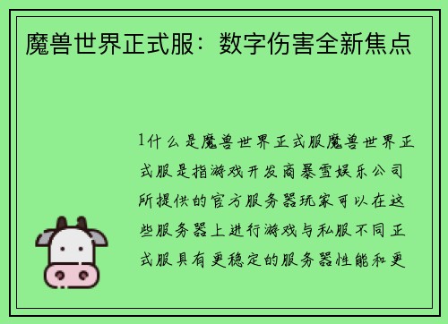 魔兽世界正式服：数字伤害全新焦点